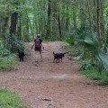 Can You Take Your Pet Along on Biking Trails in Cape Coral, Florida?