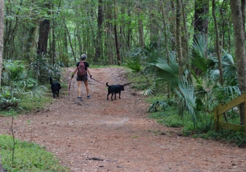 Can You Take Your Pet Along on Biking Trails in Cape Coral, Florida?